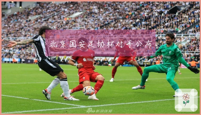 北京国安足协杯对手公布