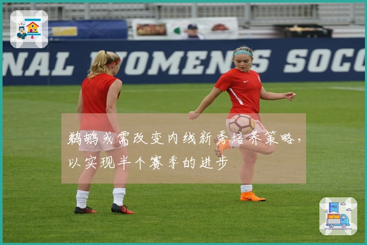 鹈鹕或需改变内线新秀培养策略，以实现半个赛季的进步