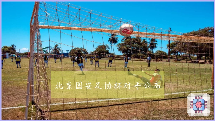 北京国安足协杯对手公布